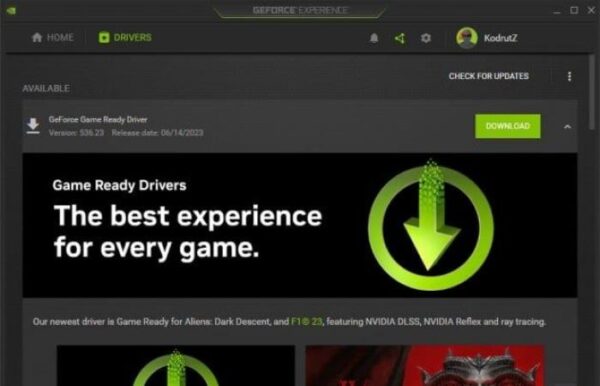 Nvidia GeForce Graphics Driver - Image 2